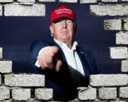 Ventajas y desventajas del muro de Trump.